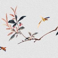 做服饰的公司应该用哪些名字 简单好听的服装公司名字