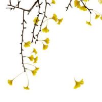 正月初九供天缘起来历 民间祭天供品仪式讲究