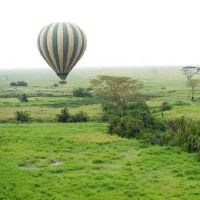 爸爸属狗孩子属马这样的组合好不好
