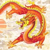 你是怎么一条龙?