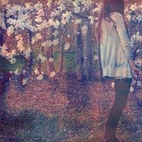 在最明智的黄道带