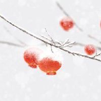 腊月二十三小年北二十四小年南是什么意思 南北方并非在一天