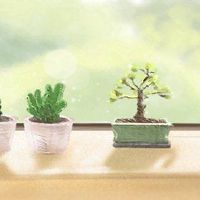 穷人修复坟墓和富人,你能修复坟墓吗?