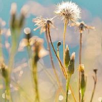 为什么同样八个字符的同一个人的命运?