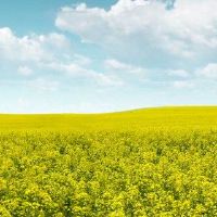 2022年出生音乐姓氏和推荐