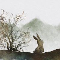 2月份,平衡不是,三个大大归