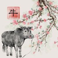 你在2022年春节的春节玩吗?