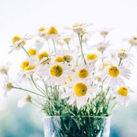 在爱的道路上,它总是很崎岖的黄道带