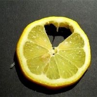 期待,但害怕爱情星座