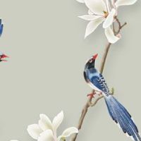 驾校叫什么名字好 寓意美好的公司起名