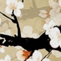 2022年3月25日出生热门女宝宝起名 女孩名字有气质涵养