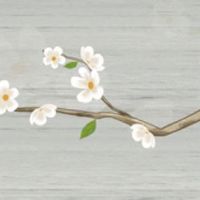 2022年3月29日出生的女孩子取名推荐 虎宝宝名字精选