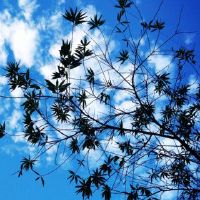 后门的房子不好。