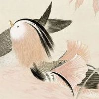 年俗讲究:正月十一有什么风俗