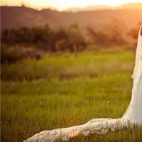 为了兴趣,它将出售婚姻黄道带