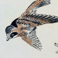 2022年3月8日妇女节五行穿衣旺运势的幸运色查询