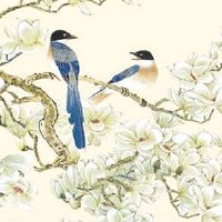 五行穿衣每日指南:2022年3月9日穿什么颜色旺运势