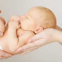 2022年4月1日愚人节出生的男宝宝取名 虎宝宝怎么起名寓意佳