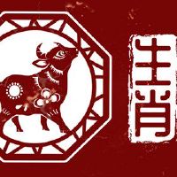 十二生肖射击2022,今年五个属,五属