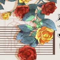 每日财富播出2022年新年四个专家