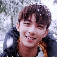 电影大师,最喜欢的黄道带男性