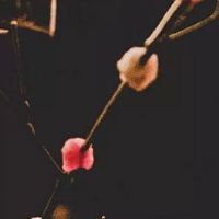 过年前上坟的最佳时间 年前上坟什么时间好