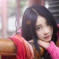 这四个主要的黄道带有能力检查汽车。