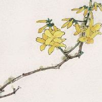 原生态农业商标起名 朗朗上口公司取名大全