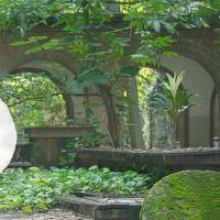 面对更多机会,赚钱,无动于衷的黄道带