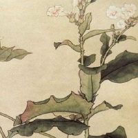 正月十一吉祥语句 新春贺词盘点