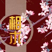 丹菲的眼睛男人的脸庞聪明人才