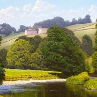 谁是最高的智商?