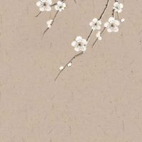 女装店名字招财免费版 店铺起名个性大气