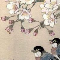 正月十一去世寓意好吗 几号是头七