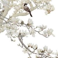 2022年3月20日春分五行看穿衣,今日穿衣幸运色盘点