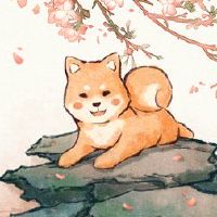 Taohuawan 2022春节腐烂的桃花