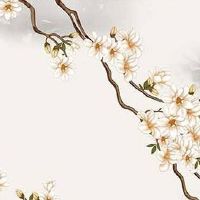 大气的外贸公司名字 企业取名吉祥招财