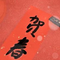 南方新年和新年之间有什么区别?