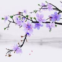 本命年碰上白事老人去世好不好 喜丧帮助本命年人改善运气