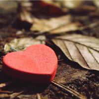 丈夫脱轨,12星级选择,一拍的两个IBO或原谅