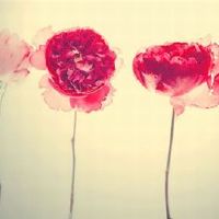 为什么12个星座有时会讨厌?