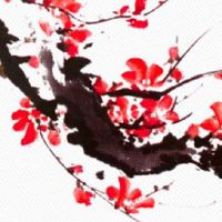 年夜饭菜谱:年夜饭必备的十二道菜