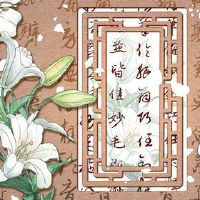 八字体B不是列配偶,沉沉