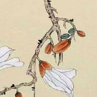 五行穿衣每日指南:2022年3月27日穿什么颜色旺运势