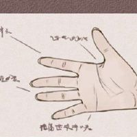 女孩的手是什么?