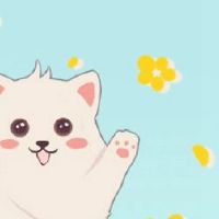 2022年,最受欢迎的十个达格拉顶级十大布拉迪