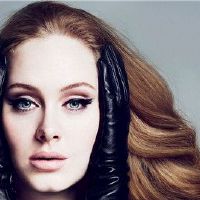 当你胖时,你很胖,十二生肖女孩不是很关心。