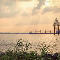 我看不到别人,我的心脏非常狭窄的黄道带。