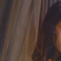 这四个中国十二生肖诚实地讨厌播放。