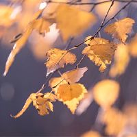 在2022年,八个人物有一个好运,有一个大的财富。